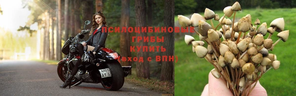 мяу мяу мука Алексин