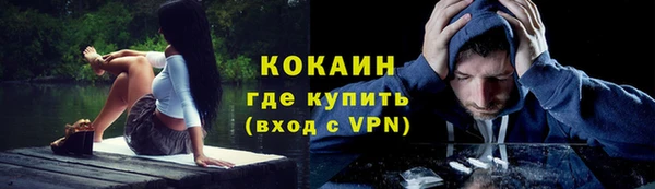 мяу мяу мука Алексин