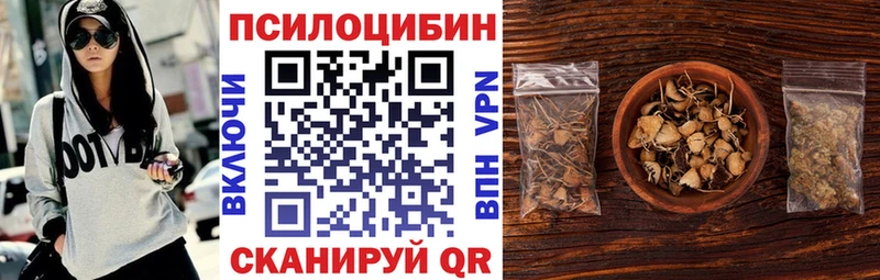 Псилоцибиновые грибы GOLDEN TEACHER Копейск